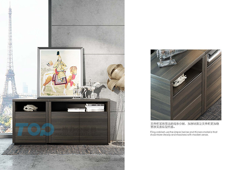 文件（jiàn）櫃采（cǎi）用簡潔的線條分割再加上加厚的材（cái）質讓文件櫃更加的體現出穩重、現代感